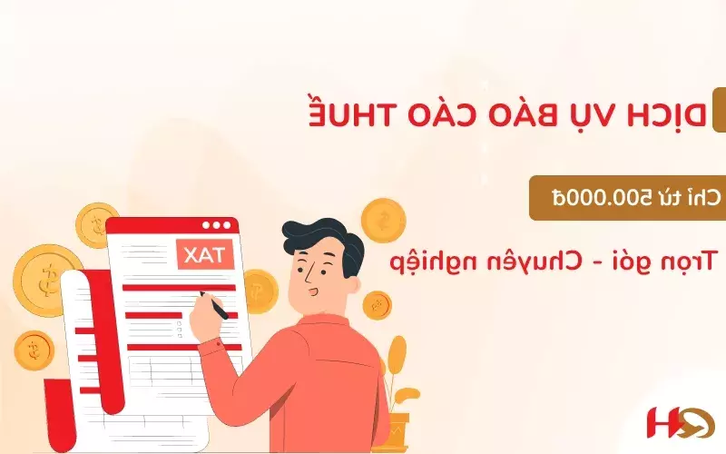Chuyên gia Kế Toán Đồng Nai thực hiện dịch vụ báo cáo thuế trọn gói hàng tháng quý