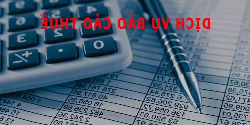 Dịch vụ khai báo thuế tại Đồng Nai: Hướng dẫn đầy đủ
