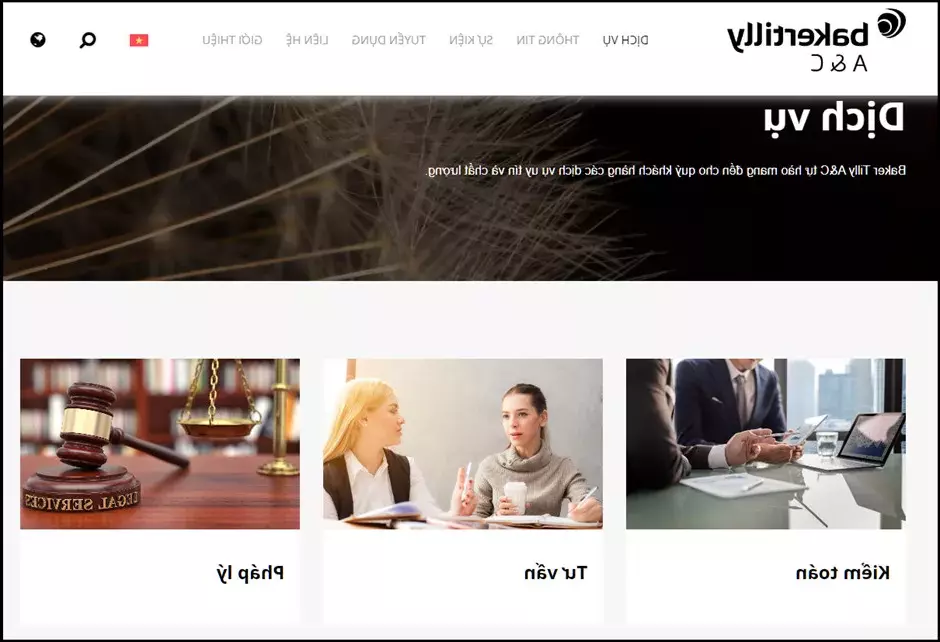 Giải pháp kế toán – kiểm toán – tư vấn rủi ro cho doanh nghiệp tại Đồng Nai