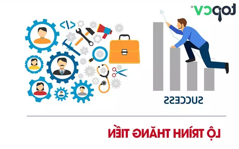 Lộ trình thăng tiến của kế toán dịch vụ: từ kế toán viên đến kế toán tổng hợp và kế toán trưởng