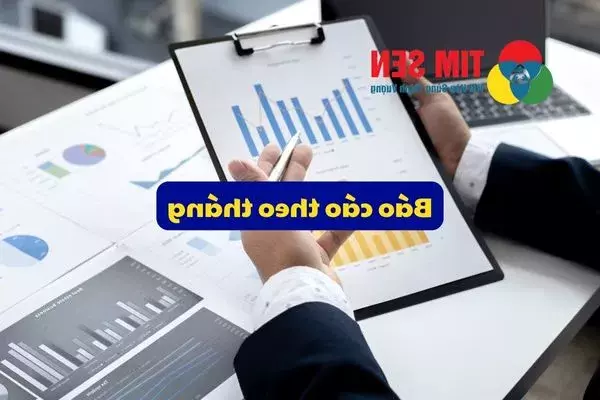 Thực hiện báo cáo thuế hàng tháng tại Đồng Nai: GTGT, TNCN, đối soát hóa đơn điện tử