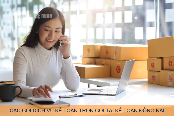 Các gói dịch vụ kế toán trọn gói tại Kế Toán Đồng Nai