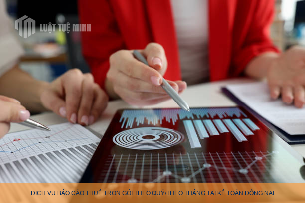 Dịch vụ báo cáo thuế trọn gói theo quýtheo tháng tại Kế Toán Đồng Nai