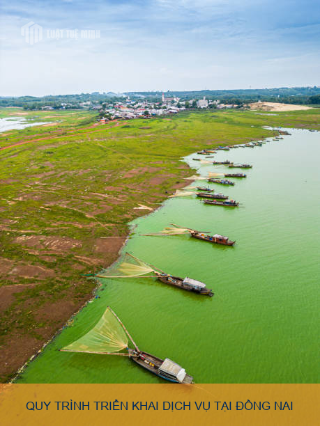 Quy trình triển khai dịch vụ tại Đồng Nai